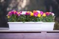 Балконный ящик для цветов, белый 90 см