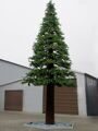 Новогоднее дерево "Сосна" 7.8 м
