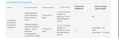 бордоская жидкость 100мл интрукция 3