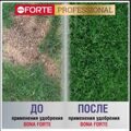 Удобрение пролонгированное Bona Forte "Для газона от МХА" 3 кг