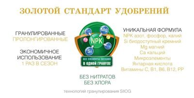 Bona Forte Клубника и ягоды 1л 5