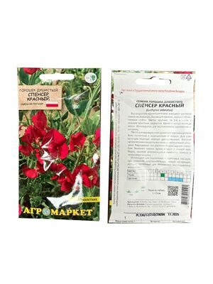 Горошек душистый Спенсер красный 1
