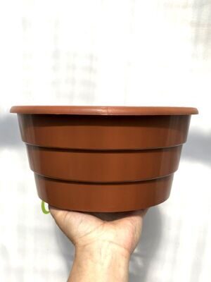 миска для хриз 3л 4