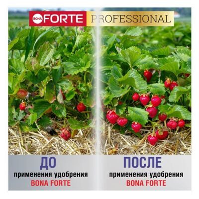 Bona Forte Клубника и ягоды 1л 4