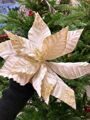 Цветок новогодний "Пуансеттия праздничная"