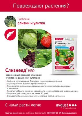 Слизнеед НЕО (2)