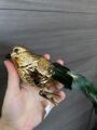 Украшение елочное стеклянное "Золотая птица"