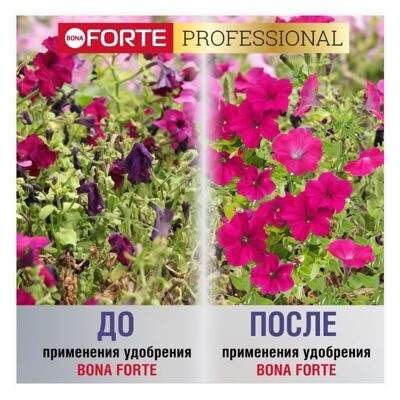 Bona Forte Петуний и бегонии 1л 5