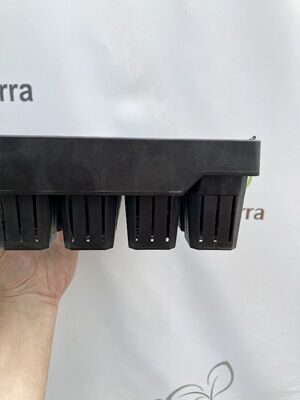 кассета 81 яч 2