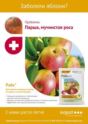 Раёк