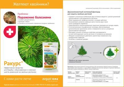Ракурс_х2