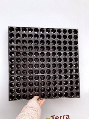 kasseta-144-f-gidroponika 7