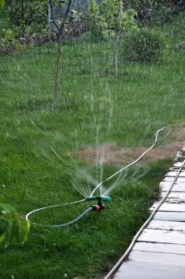 irrigation-garden-sprinkling-irrigation-garden-spraying-to-protect-plants-trees-drying-out-116397109