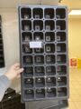 Кассета для рассады 32 ячейки (143мл)