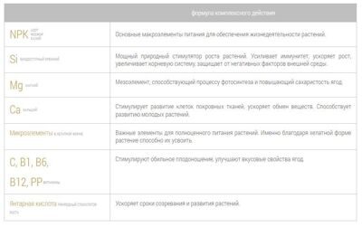 Bona Forte Клубника и ягоды 1л 6