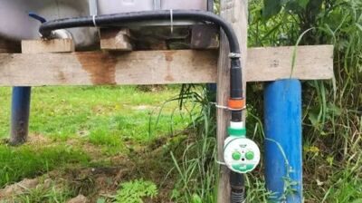 Таймер полива Green Helper шаровый 2