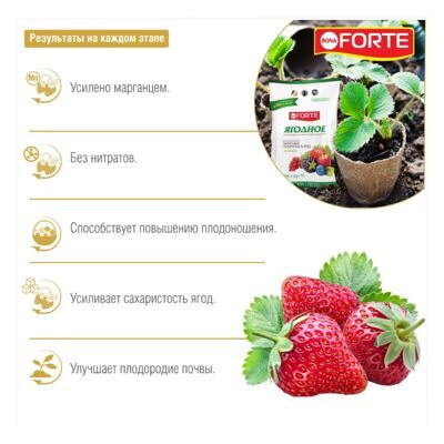 Bona Forte Ягодное  17-6-14 2,5 кг 1