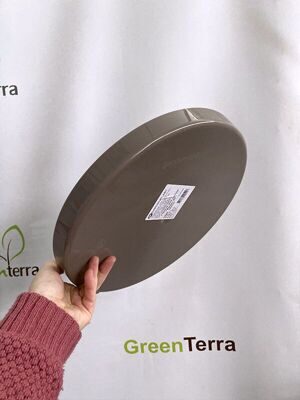 горшок фикус мокко 5