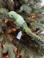 Украшение елочное "Птица с зелёным хвостом"
