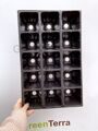 Кассета для рассады 15 ячеек (клубника), 250мл