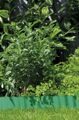 Бордюр садовый волнистый зелёный, 9м х 10см