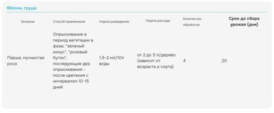 раёк инструкция 2