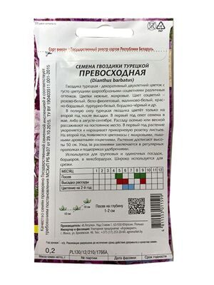 гвоздика турецкая превосходная 2