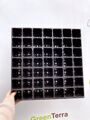 Кассета для рассады 49 ячеек (49-Ф конус), 100мл