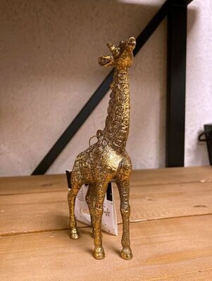 жираф-1