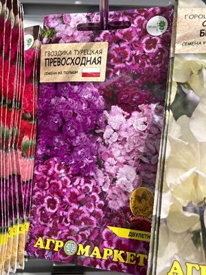 гвоздика турецкая превосходная 1