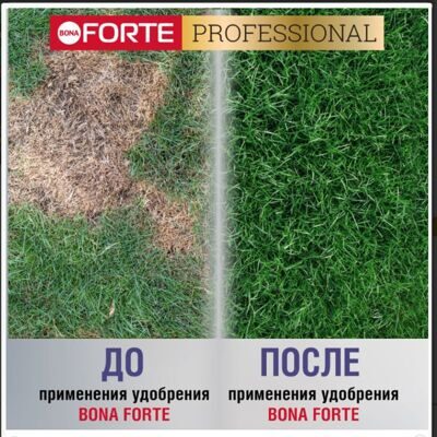 Bona Forte Удобрение для газона от МХА 5