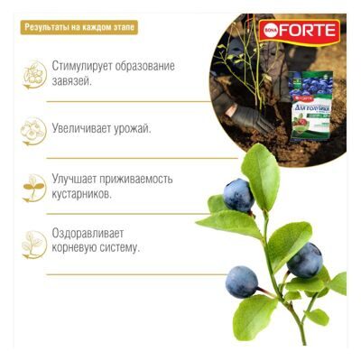 Bona Forte  Голубика с цеолитом  2,5 кг 1