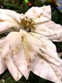 Цветок новогодний "Пуансеттия" бархатная