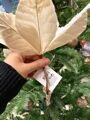 Цветок новогодний "Пуансеттия праздничная"