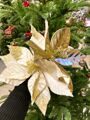 Цветок новогодний "Пуансеттия праздничная"