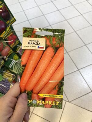 морковь ванда 3